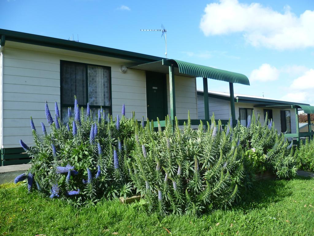 Mount View Motel Mount Gambier Værelse billede